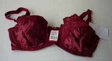 Lade das Bild in den Galerie-Viewer, Bügel-BH Gr: 75-105, Cup C-E in 4 Farben (Nr. 26)